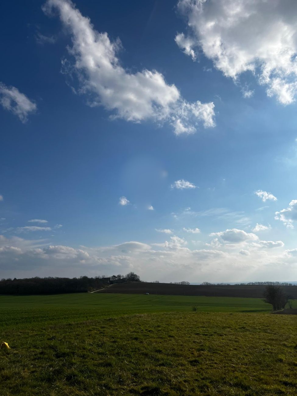 Paysage de campagne